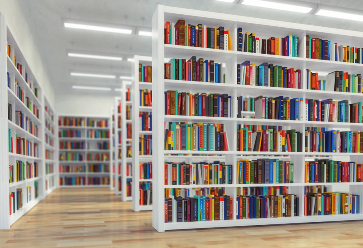 Sistema ERP Biblioteca