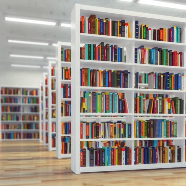 Sistema ERP Biblioteca