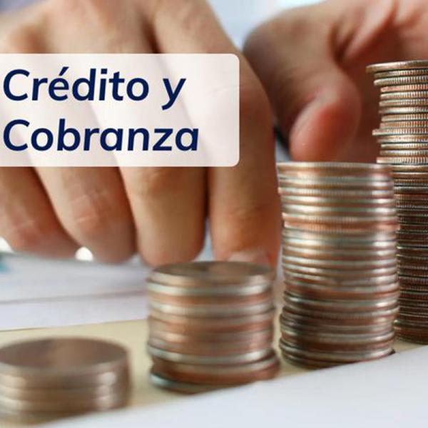 Sistema ERP Prestamos y Cobranzas